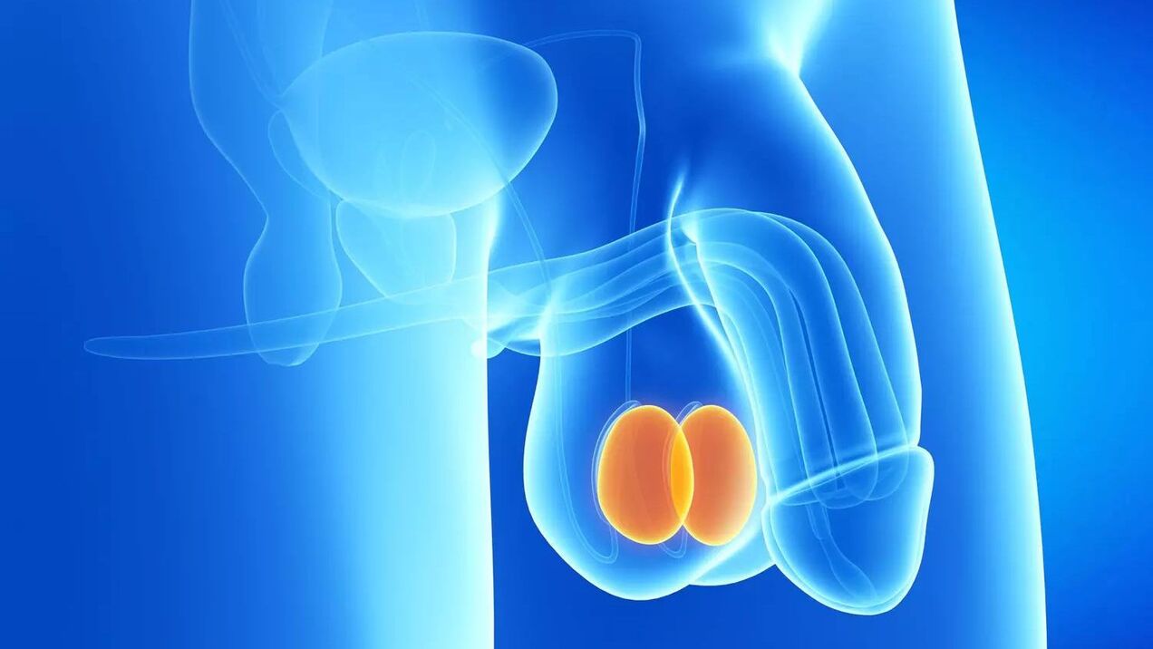 costo dell'intervento di ingrandimento del pene