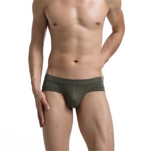bel torso maschile