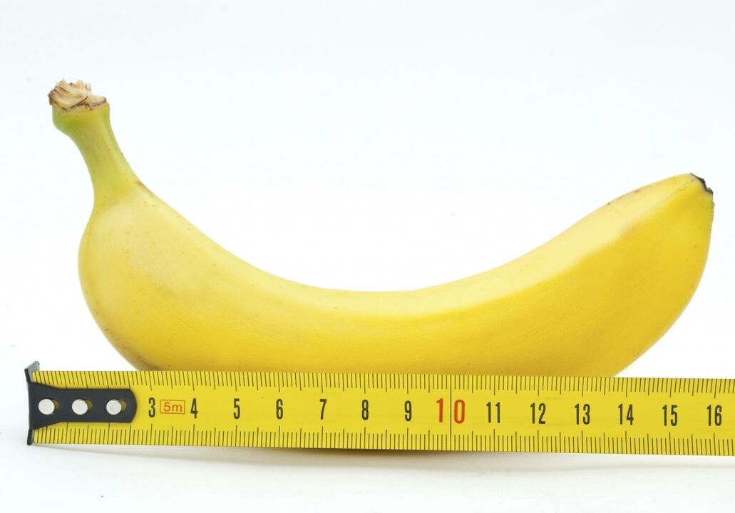 dimensione normale del pene