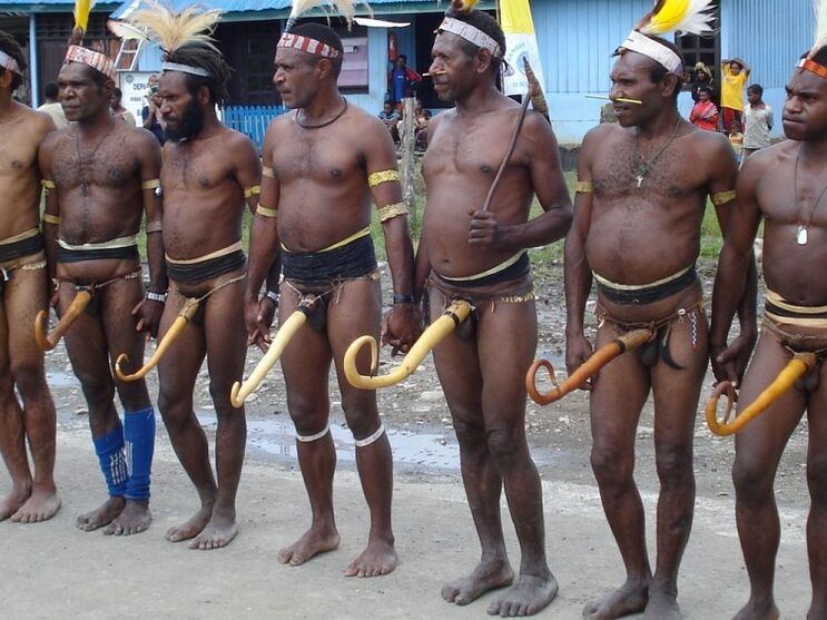 Papuasi con peni ingrossati